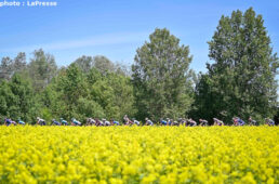 ジロ・デ・イタリア