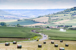 クリテリウム・デュ・ドーフィネ