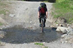 トップストーン カーボン レフティー