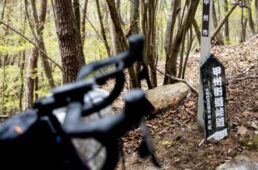 旧甲州街道の案内板