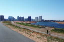 逆S字カーブを描く多摩川