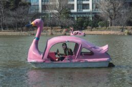 不忍池でスワンボートを体験