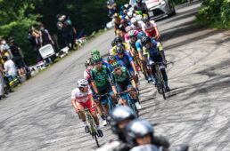 バラバラの状態の集団