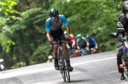 シエルブルーの石橋