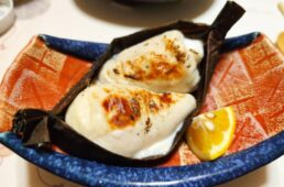 別府史之が見た世界17