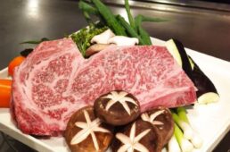 別府史之が見た世界17