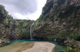 別府史之が見た世界17