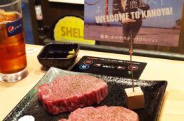 別府史之が見た世界17