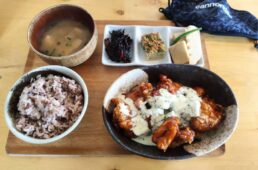 別府史之が見た世界17