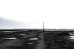 別府史之が見た世界17