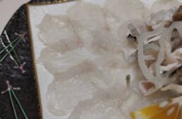 別府史之が見た世界17