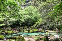 別府史之が見た世界17