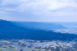 別府史之が見た世界17