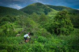 東北の爽やかな緑の中を進む自転車
