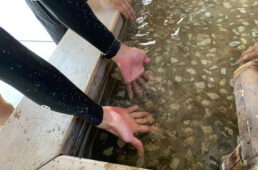 鳴子温泉郷の手湯