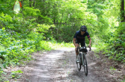 ジェロボームの小刻みなアップダウン