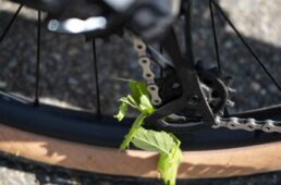 後輪に絡まる草