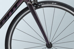 GIANT CONTEND