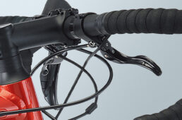 GIANT CONTEND