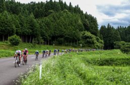 縦一列棒状の集団