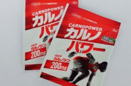 カルノパワー