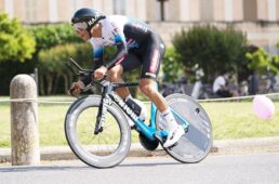 チネリ・ウィジウィッグ