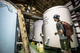 佐渡島で大人のサイクリング