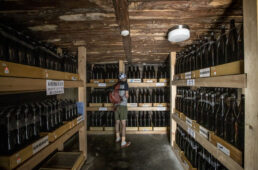 佐渡島で大人のサイクリング