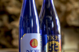 佐渡島で大人のサイクリング