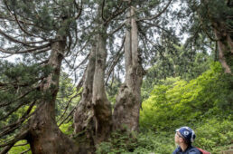 佐渡島で大人のサイクリング