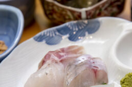 佐渡島で大人のサイクリング