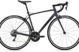 GIANT CONTEND