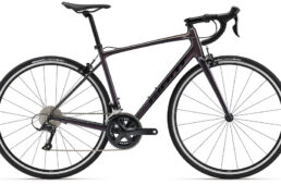 GIANT CONTEND