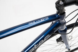 コラテック・ドロミテ ディスク