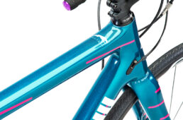 チネリ・ヴェルトリクス