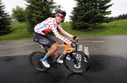 ウァウテル・プールス