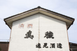 佐渡島で大人のサイクリング