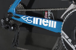 チネリ・ウィジウィッグ