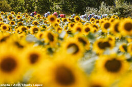 ツール・ド・フランス2021