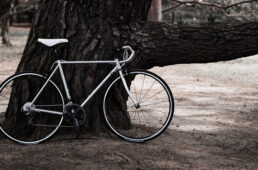 ビゴーレ・京都コレクション 鋼