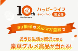 au損保、開業10周年記念キャンペーン第２弾