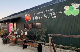 キヨシ商会「ウィリエール試乗会」