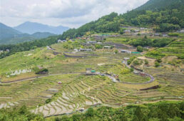 ツール・ド・熊野