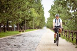 草加宿の松並木