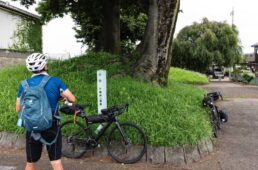 小金井宿の一里塚