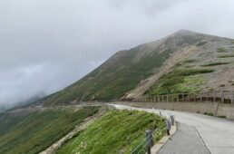 乗鞍ライチョウルート