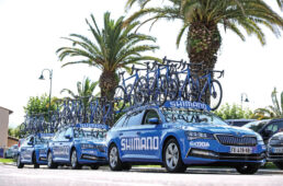 シマノニュートラルサービス