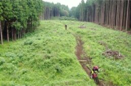 スルガ銀行×東京電力パワーグリッド