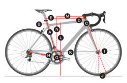 チェックポイント