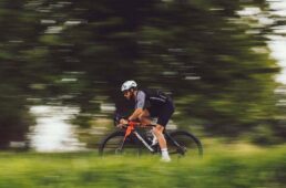 メリダ・スクルトゥーラ V